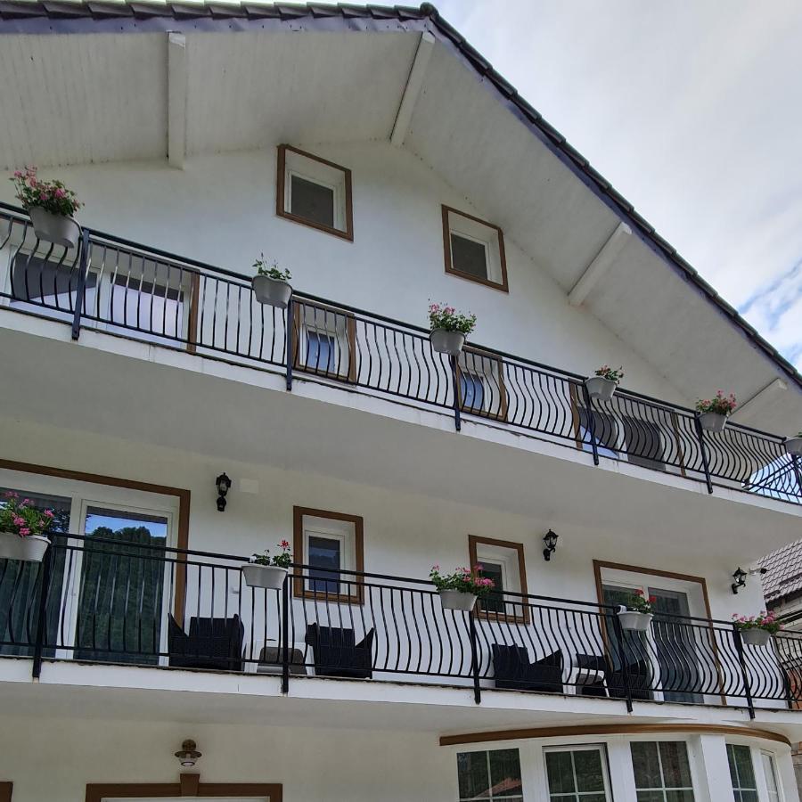 Casa Anne Hotell Băile Herculane Eksteriør bilde